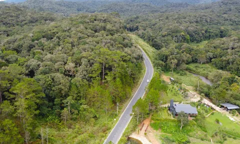 Lâm Đồng từ chối nghiên cứu quy hoạch dự án Dragon Hill Park 11ha trên đất rừng
