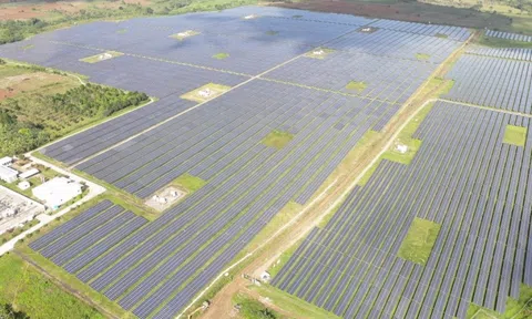 Thêm 2 dự án điện mặt trời 100 MWP được mua lại bởi tập đoàn điện lực Singapore, các dự án năng lượng tái tạo tại Việt Nam lần lượt về tay nước ngoài
