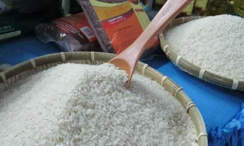 Doanh nghiệp vét sạch kho gạo để xuất khẩu